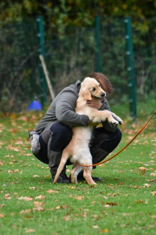 Hundeauslaufgebiet-Hundeschule Ina Bock-Bild