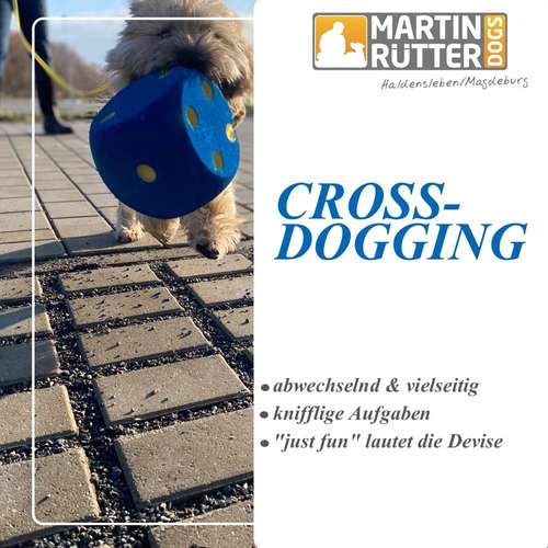 Hundeauslaufgebiet-Martin Rütter Hundeschule Haldensleben/Magdeburg-Bild