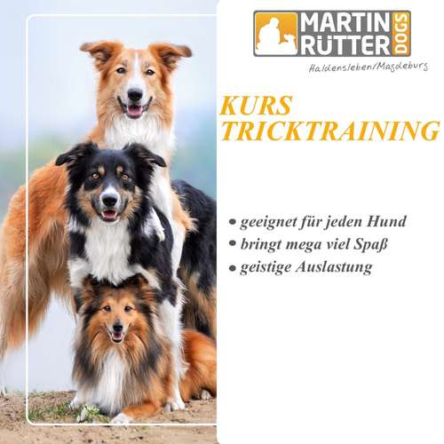 Hundeauslaufgebiet-Martin Rütter Hundeschule Haldensleben/Magdeburg-Bild