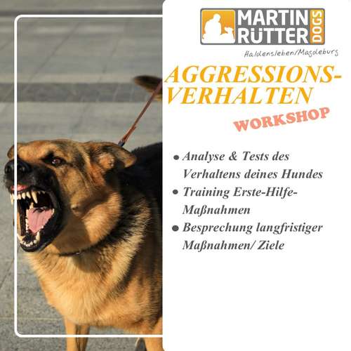 Hundeauslaufgebiet-Martin Rütter Hundeschule Haldensleben/Magdeburg-Bild