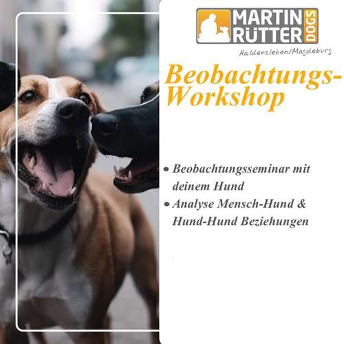 Hundeauslaufgebiet-Martin Rütter Hundeschule Haldensleben/Magdeburg-Bild