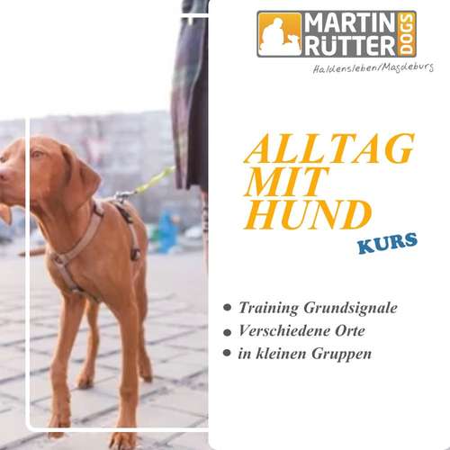 Hundeauslaufgebiet-Martin Rütter Hundeschule Haldensleben/Magdeburg-Bild