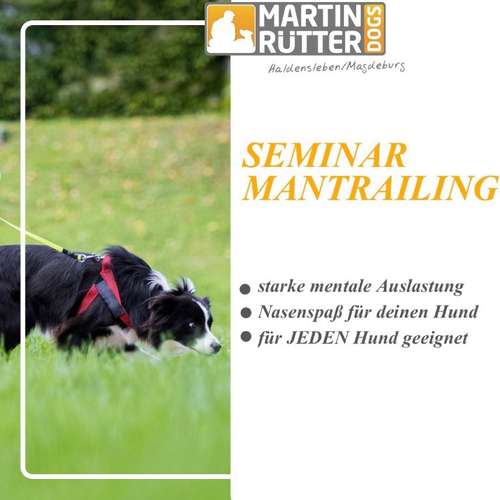 Hundeauslaufgebiet-Martin Rütter Hundeschule Haldensleben/Magdeburg-Bild