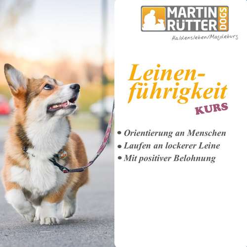 Hundeauslaufgebiet-Martin Rütter Hundeschule Haldensleben/Magdeburg-Bild