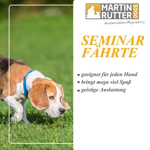 Hundeauslaufgebiet-Martin Rütter Hundeschule Haldensleben/Magdeburg-Bild