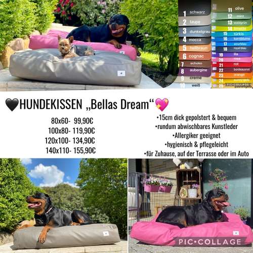 Hundeauslaufgebiet-Rottweiler v. Anwesen mariani Hundezubehör-Bild