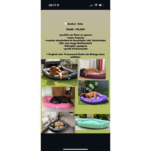 Hundeauslaufgebiet-Rottweiler v. Anwesen mariani Hundezubehör-Bild