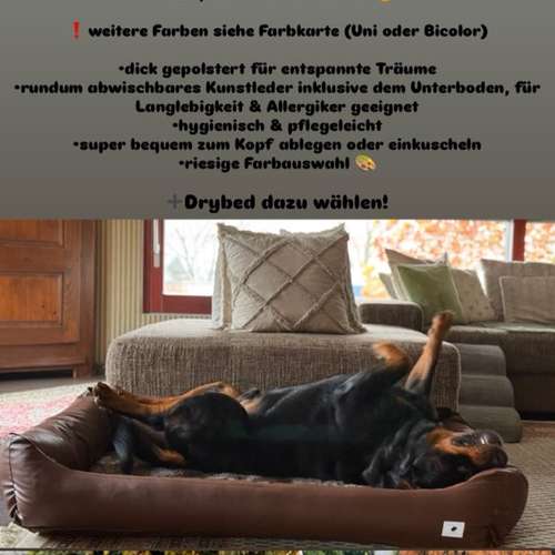 Hundeauslaufgebiet-Rottweiler v. Anwesen mariani Hundezubehör-Bild