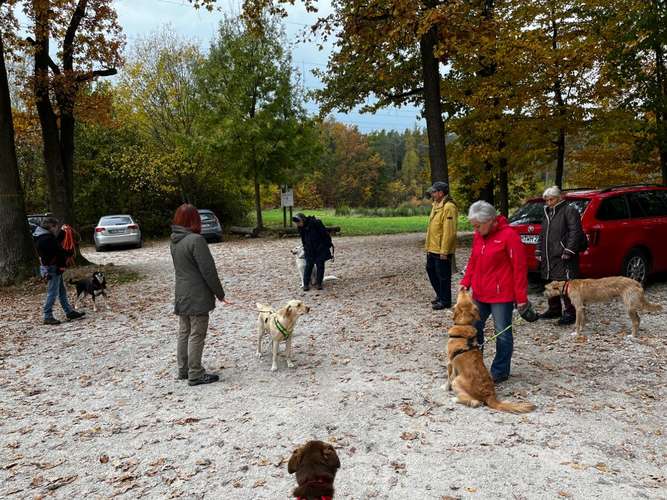 Hundeauslaufgebiet-Hundefreunde Schwabach-Bild