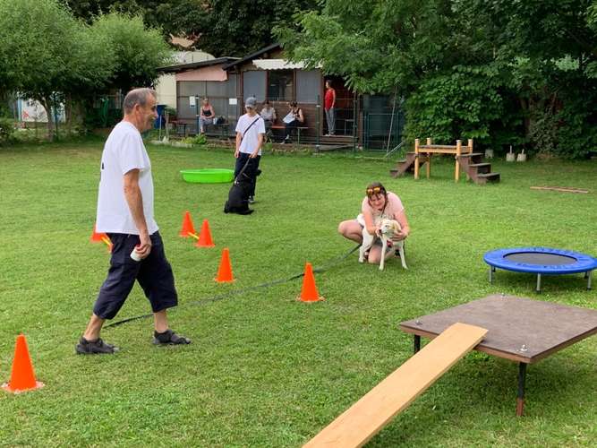 Hundeauslaufgebiet-Hundefreunde Schwabach-Bild