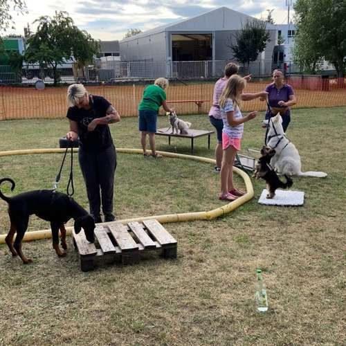 Hundeauslaufgebiet-Hundefreunde Schwabach-Bild