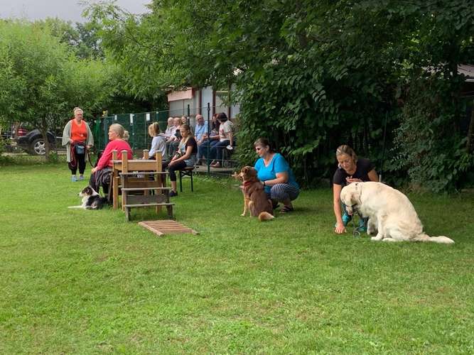 Hundeauslaufgebiet-Hundefreunde Schwabach-Bild