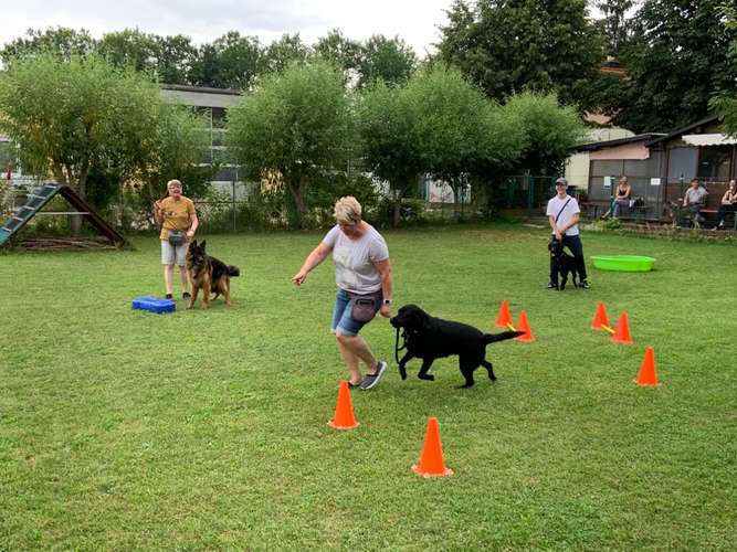 Hundeauslaufgebiet-Hundefreunde Schwabach-Bild