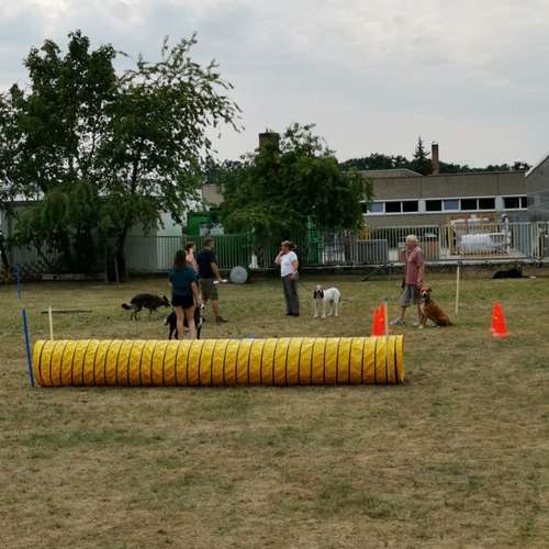 Hundeauslaufgebiet-Hundefreunde Schwabach-Bild