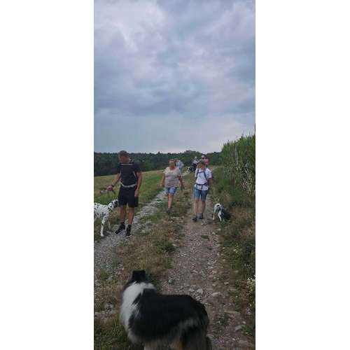 Hundeauslaufgebiet-hundeTeamschule Elli Mayer-Bild