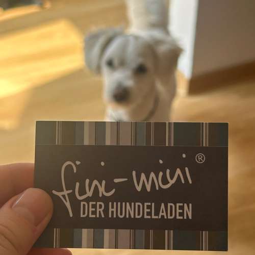 Hundeauslaufgebiet-Fini-Mini - Der Hundeladen-Bild