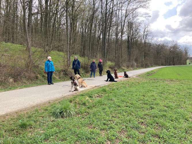 Hundeauslaufgebiet-Hundeschule Hund-Mensch-Vertrauen-Bild