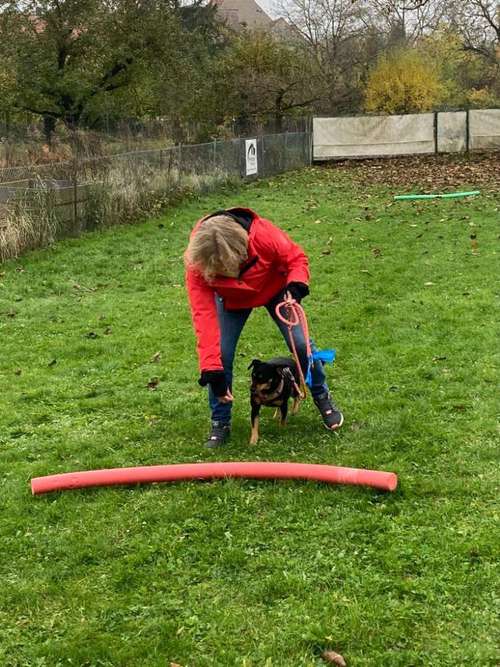 Hundeauslaufgebiet-Hundeschule Hund-Mensch-Vertrauen-Bild