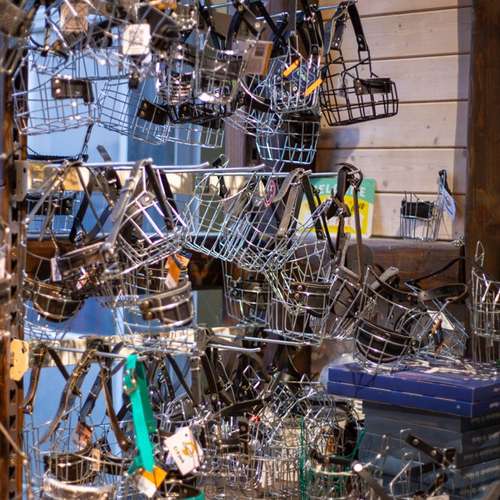 Hundeauslaufgebiet-DOGTRENDS-Bild