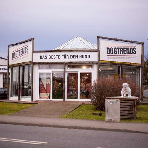 Hundeauslaufgebiet-DOGTRENDS-Bild