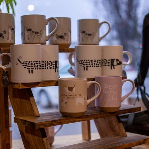 Hundeauslaufgebiet-DOGTRENDS-Bild