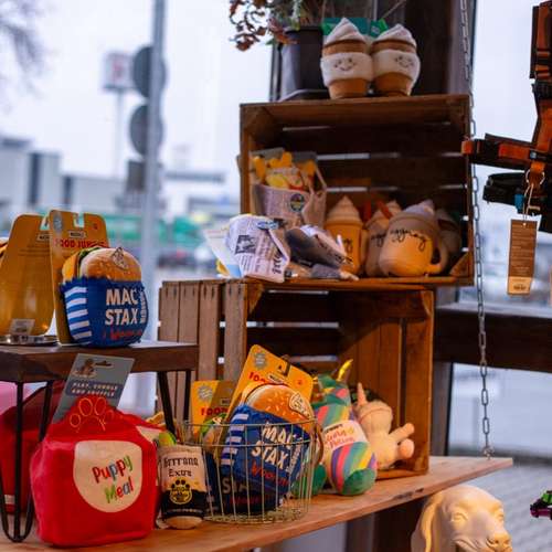 Hundeauslaufgebiet-DOGTRENDS-Bild