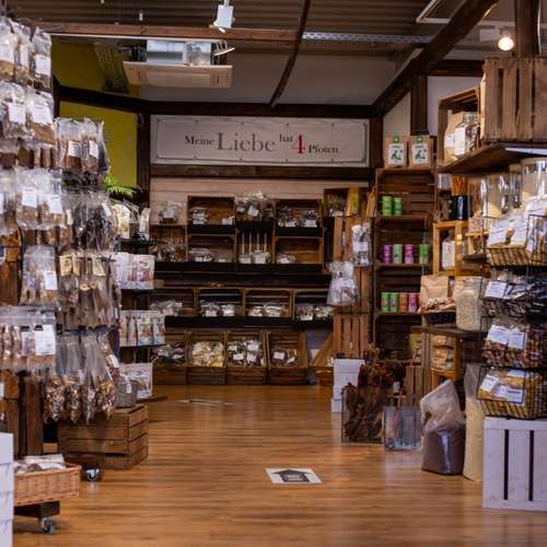 Hundeauslaufgebiet-DOGTRENDS-Bild