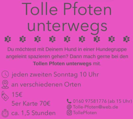 Hundeauslaufgebiet-Tolle Pfoten-Bild