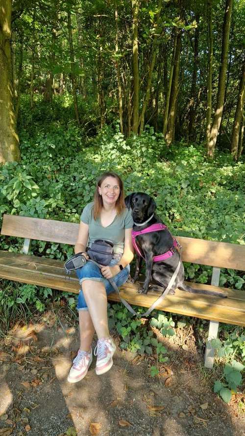 Hundeauslaufgebiet-Tolle Pfoten-Bild