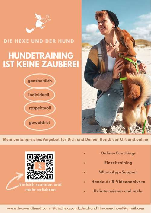 Hundeauslaufgebiet-Die Hexe und der Hund-Bild