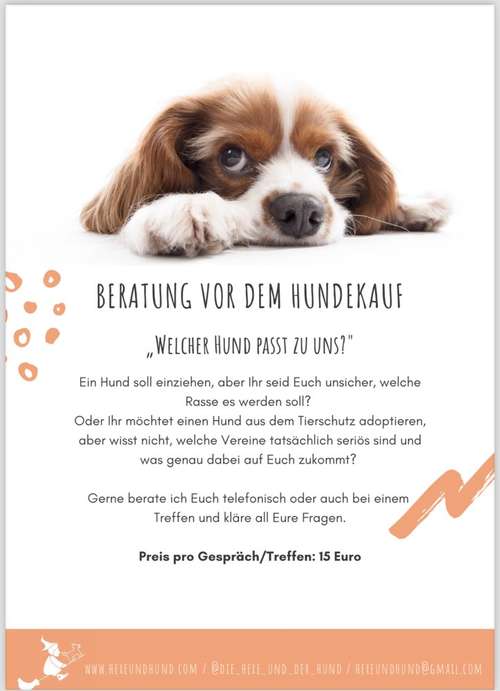 Hundeauslaufgebiet-Die Hexe und der Hund-Bild