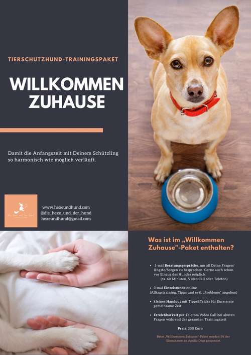 Hundeauslaufgebiet-Die Hexe und der Hund-Bild