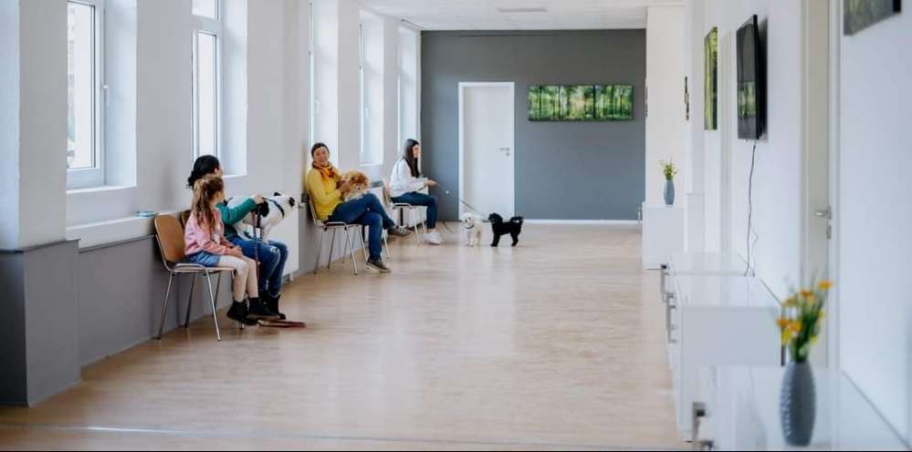 Hundeauslaufgebiet-Biologisches Therapiezentrum für Hunde-Bild