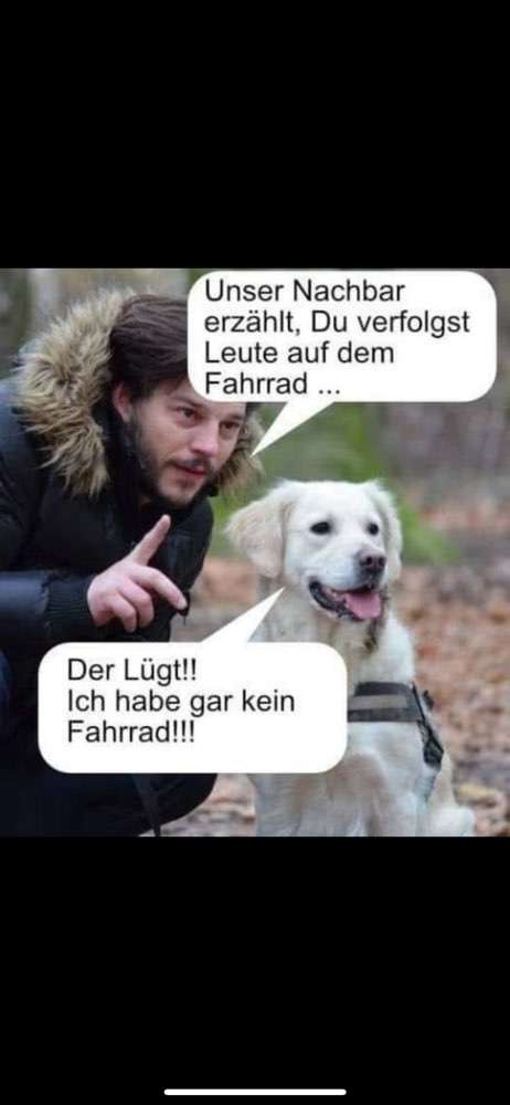 Hundeauslaufgebiet-Nicole Grütter-Bild