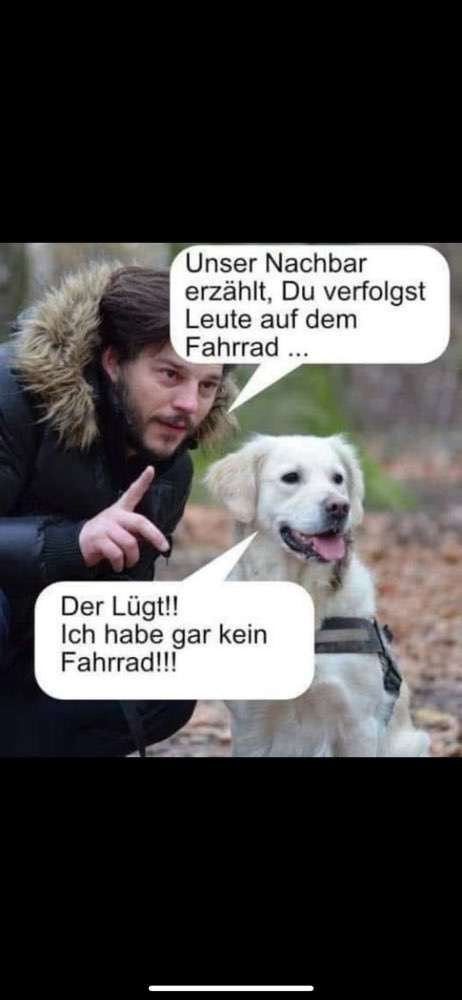 Hundeauslaufgebiet-DogConcept-Bild