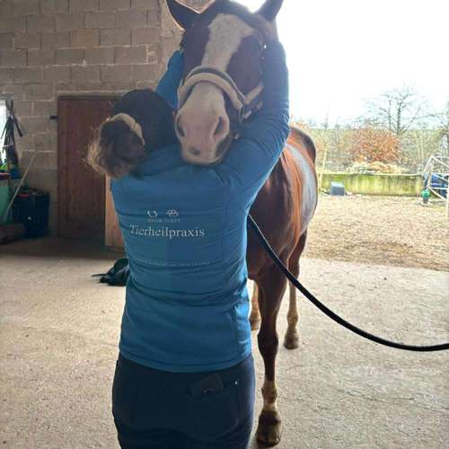 Hundeauslaufgebiet-Tierheilpraxis & Tierphysiotherapie JI-Bild