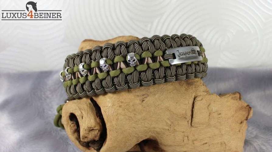 Hundeauslaufgebiet-Luxus4beiner-Bild