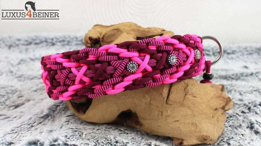 Hundeauslaufgebiet-Luxus4beiner-Bild