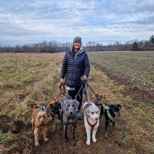 Hundeauslaufgebiet-Dilaras Fellnasen-Bild