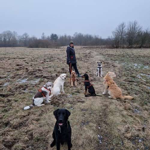 Hundeauslaufgebiet-Dilaras Fellnasen-Bild