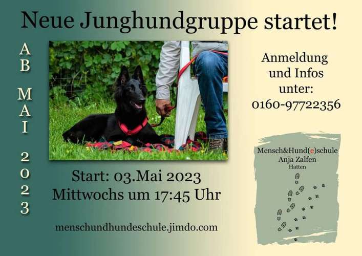 Hundeauslaufgebiet-Mensch & Hund(e)schule, Anja Zalfen-Bild