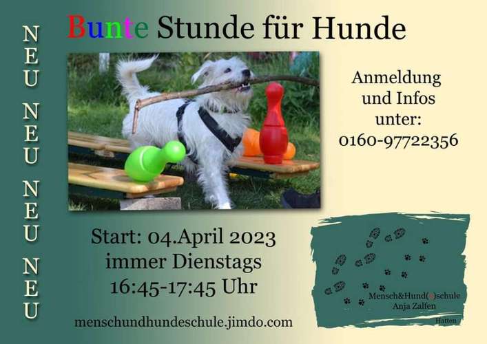 Hundeauslaufgebiet-Mensch & Hund(e)schule, Anja Zalfen-Bild