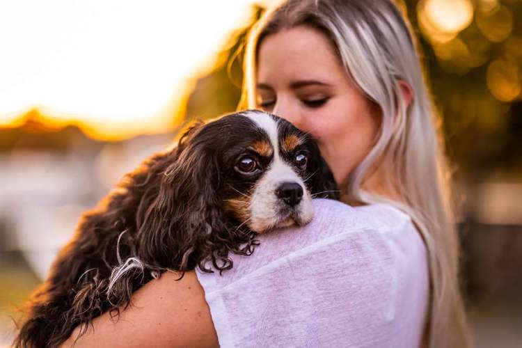 Hundeauslaufgebiet-Nina Scheibe Fotografie-Bild