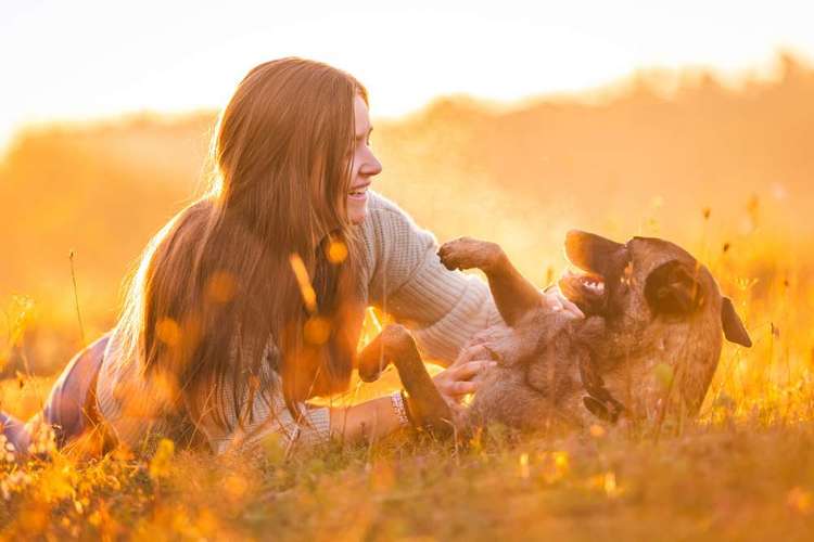 Hundeauslaufgebiet-Nina Scheibe Fotografie-Bild
