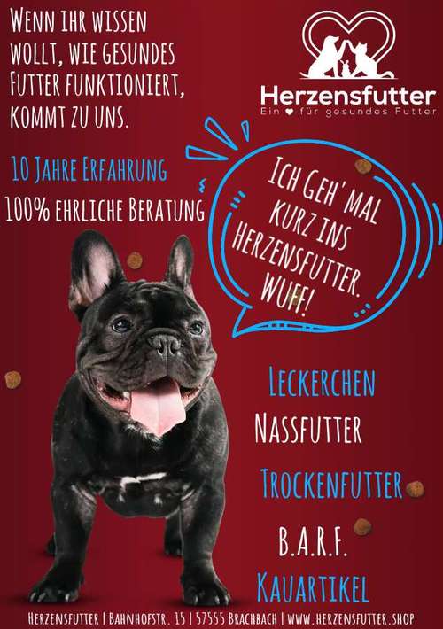 Hundeauslaufgebiet-Herzensfutter-Bild