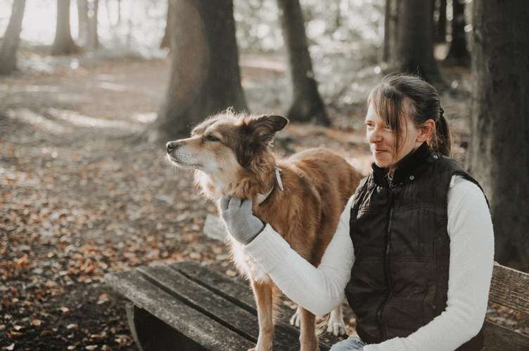 Hundeauslaufgebiet-Bindungswerk-Hundetraining Daniela Ahlefeld -Bild