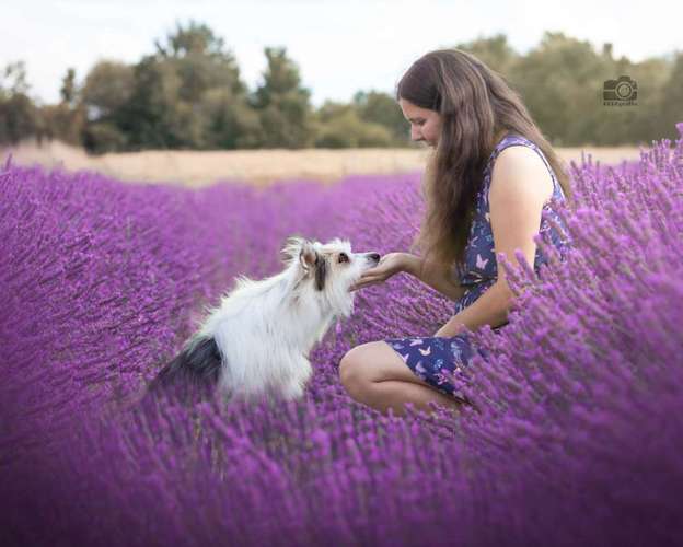 Hundeauslaufgebiet-DOGOgrafie-Bild