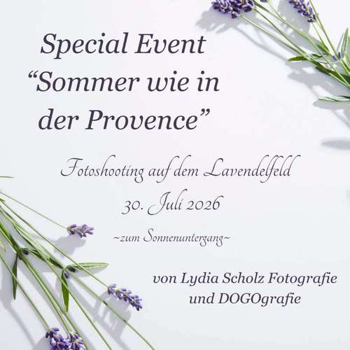 Hundeauslaufgebiet-DOGOgrafie-Bild