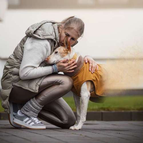 Hundeauslaufgebiet-DOGOgrafie-Bild