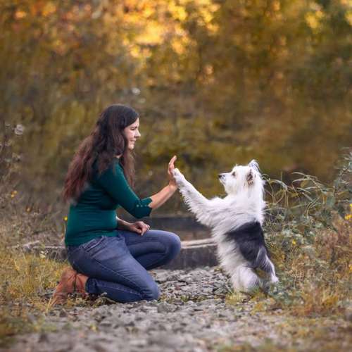 Hundeauslaufgebiet-DOGOgrafie-Bild